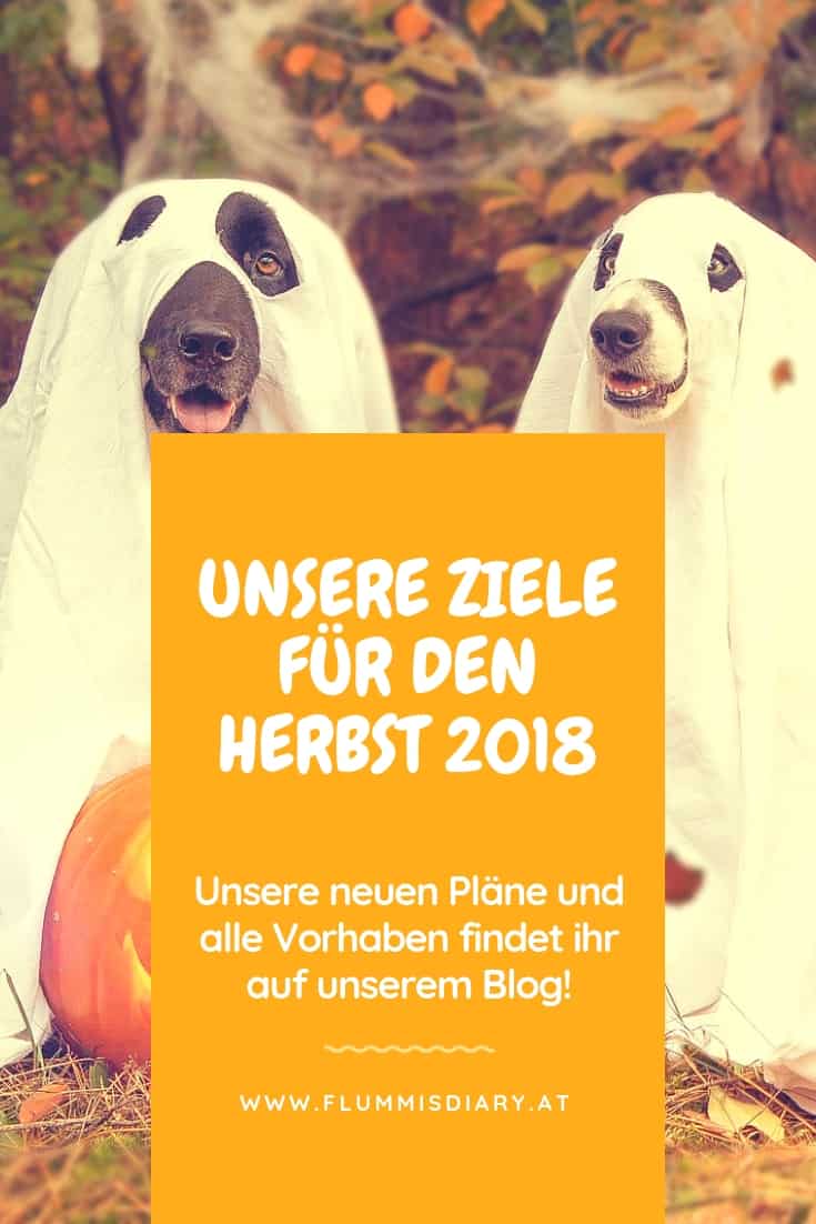 herbstziele-2018-hund-flummisdiary