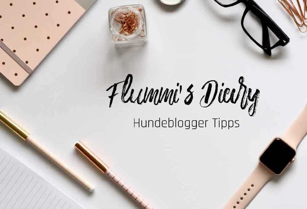 flummis-diary-hundeblogger-tipps