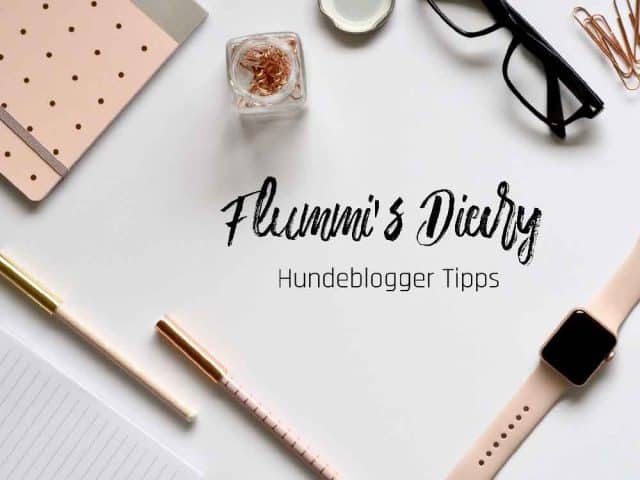flummis-diary-hundeblogger-tipps