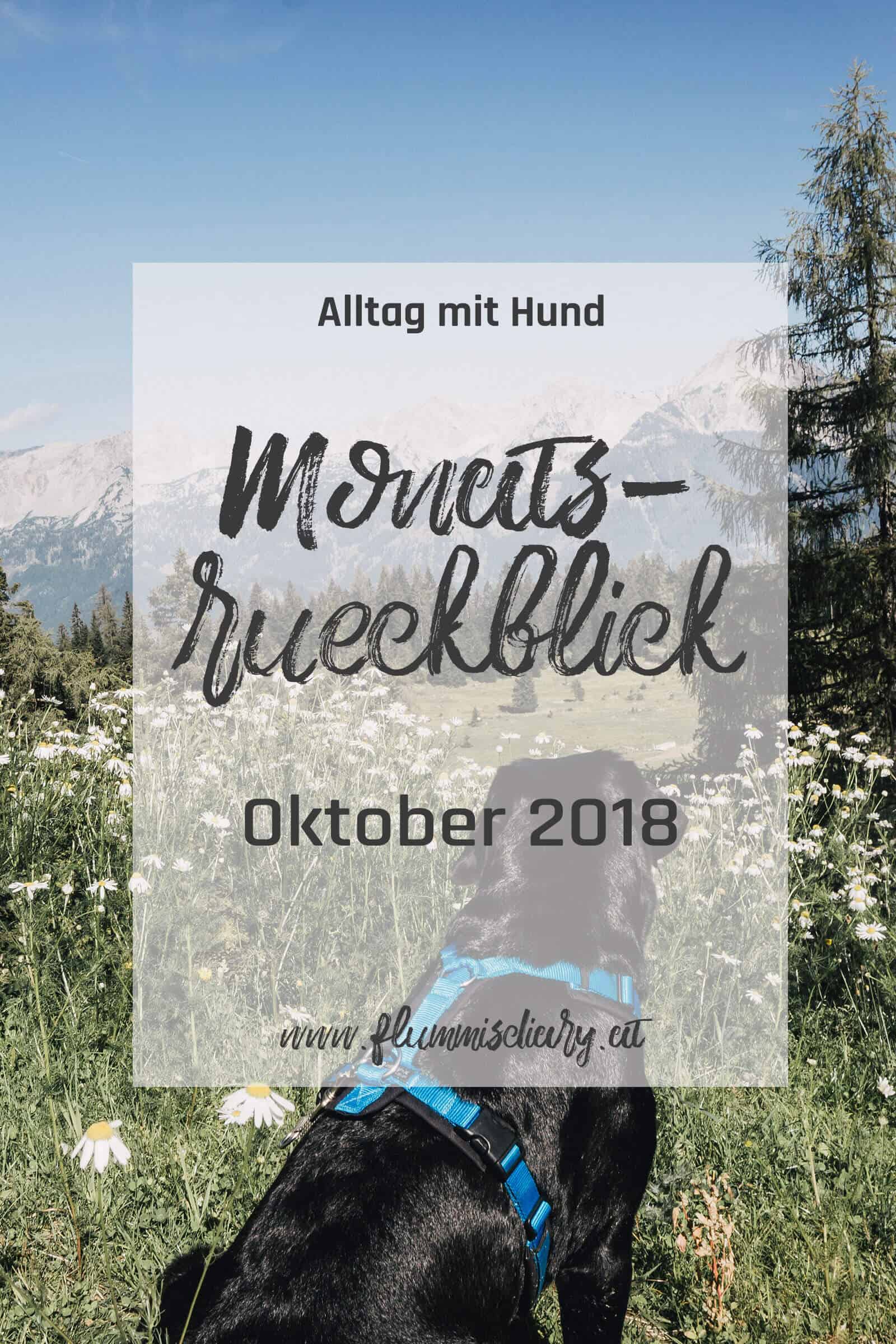 monatsrueckblick-oktober-2018monatsrueckblick-oktober-2018