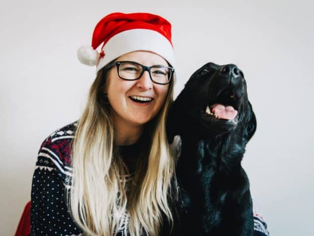 weihnachten-mit-hund-kein-stress-ohne-hunde