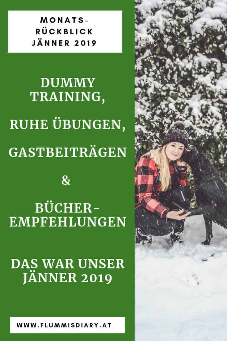 monatsrückblick-januar-2019-hundeblog-hundetraining