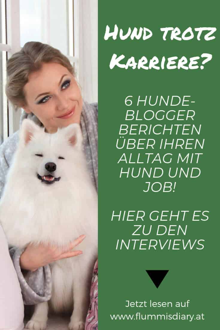hund-karriere-interview-hundeblogger
