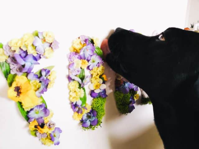 floral-letters-fuer-hunde-blog-diy