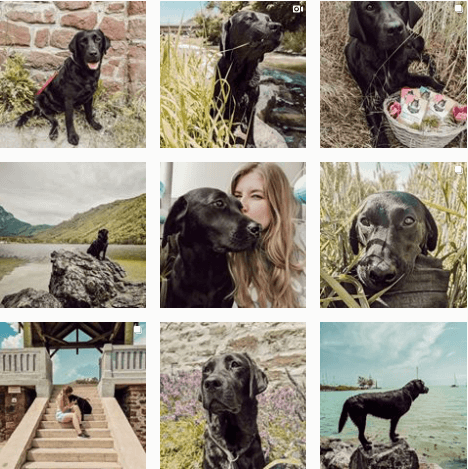flummisdiary-#adventuredogs-instagram-inspiration