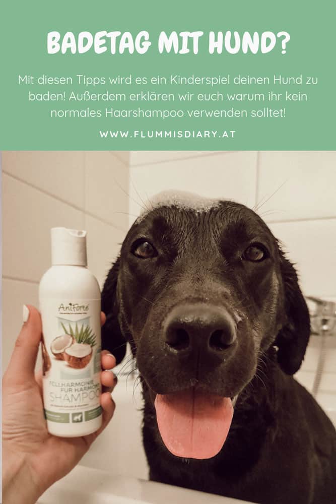 shampoo-hund-tipps-baden