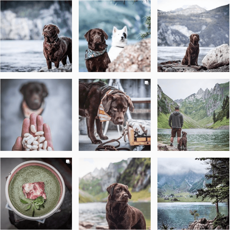 wanderrutediary-inspiration-instagram-adventuredogs.png