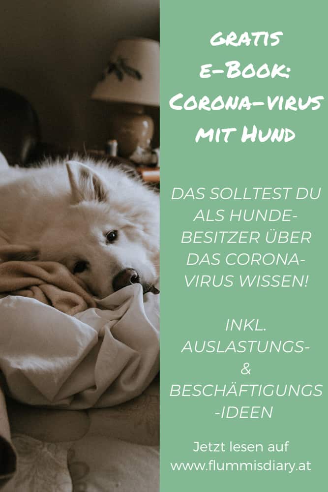 handbuch-corona-virus-coronavirus-auslastung-oesterreich-infos-beschaeftigung