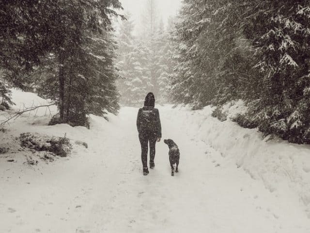 zillertal-mit-hund-im-winter-erfahrungen-tipps-ausfluege