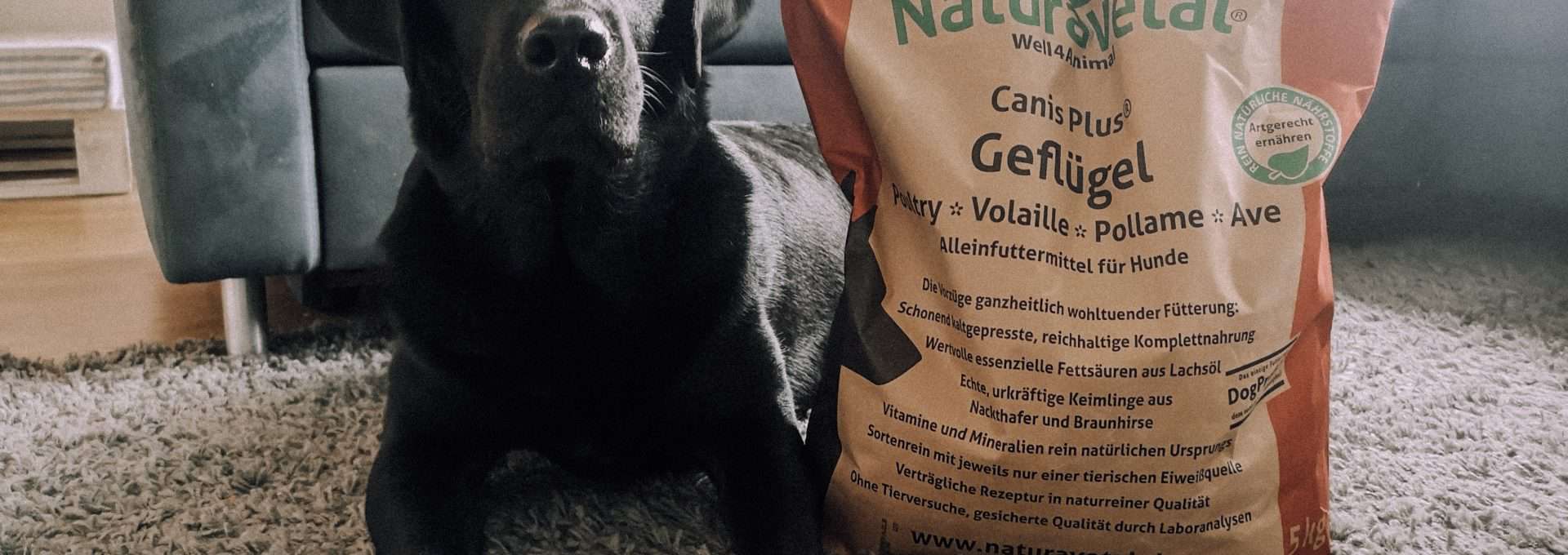 naturavetal-hundefutter-test-hund-erfahrung-bericht-blog