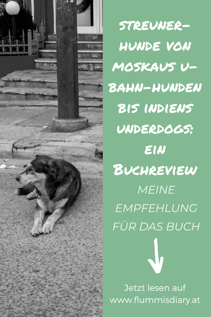 streunerhunde-kosmos-buchreview-blog