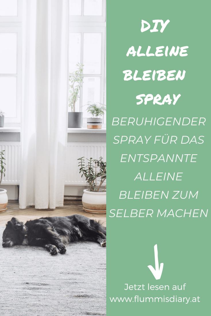 diy-alleine-bleiben-spray-hunde-aetherische-oele-aroma-hund-welpe