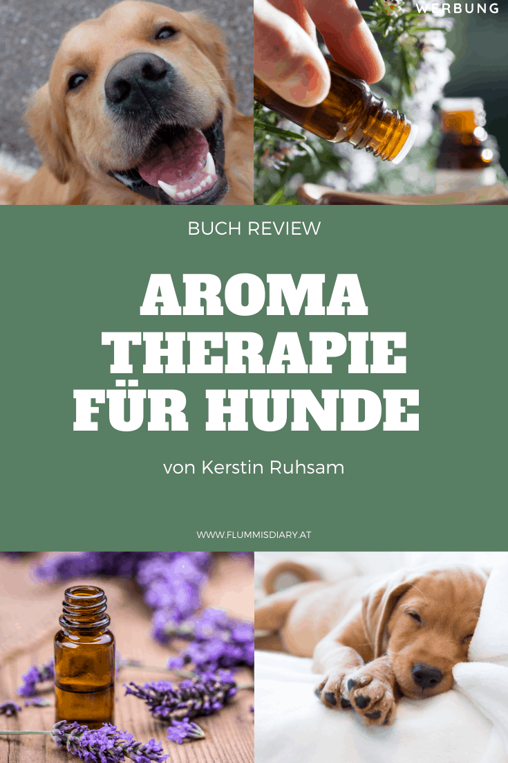 aromaoele-fuer-hunde-therapie-anwendung-starter