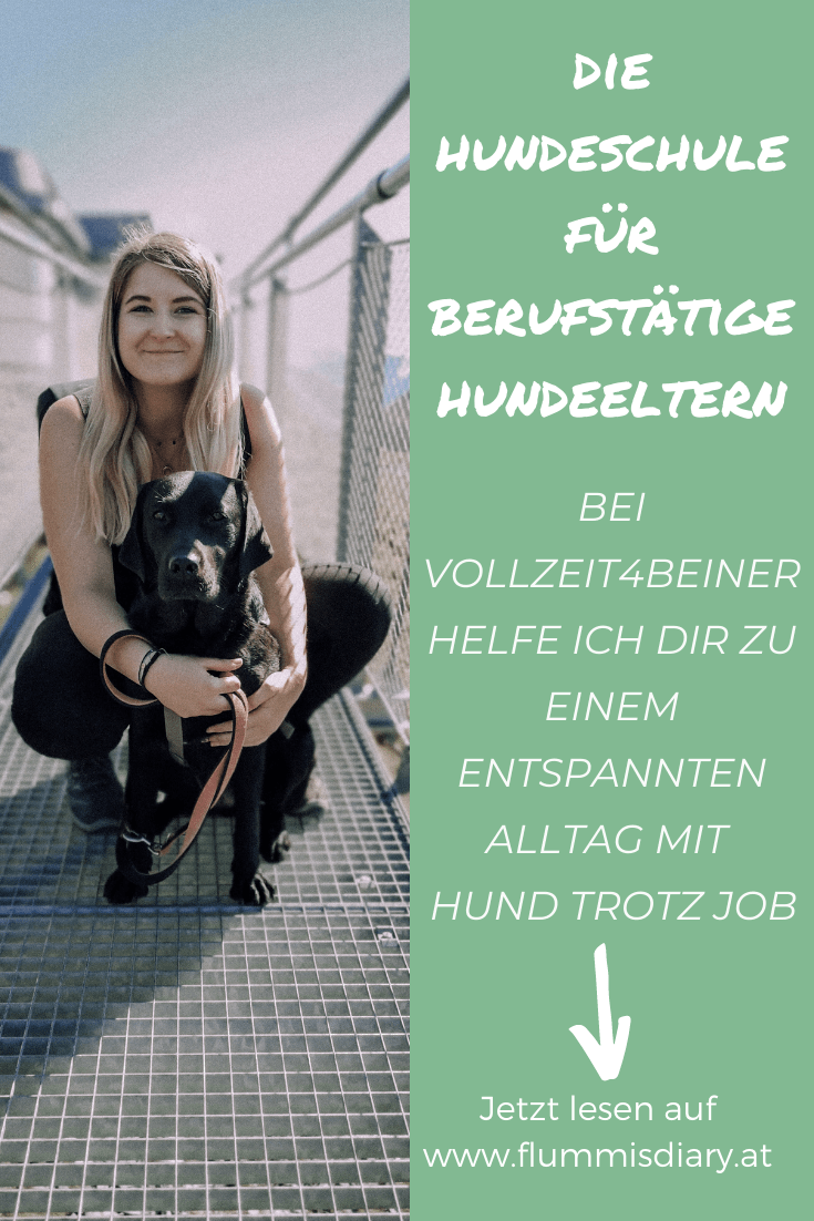 hundetrainer-hundeschule-fuer-berufstaetige-job-karriere-hund-online