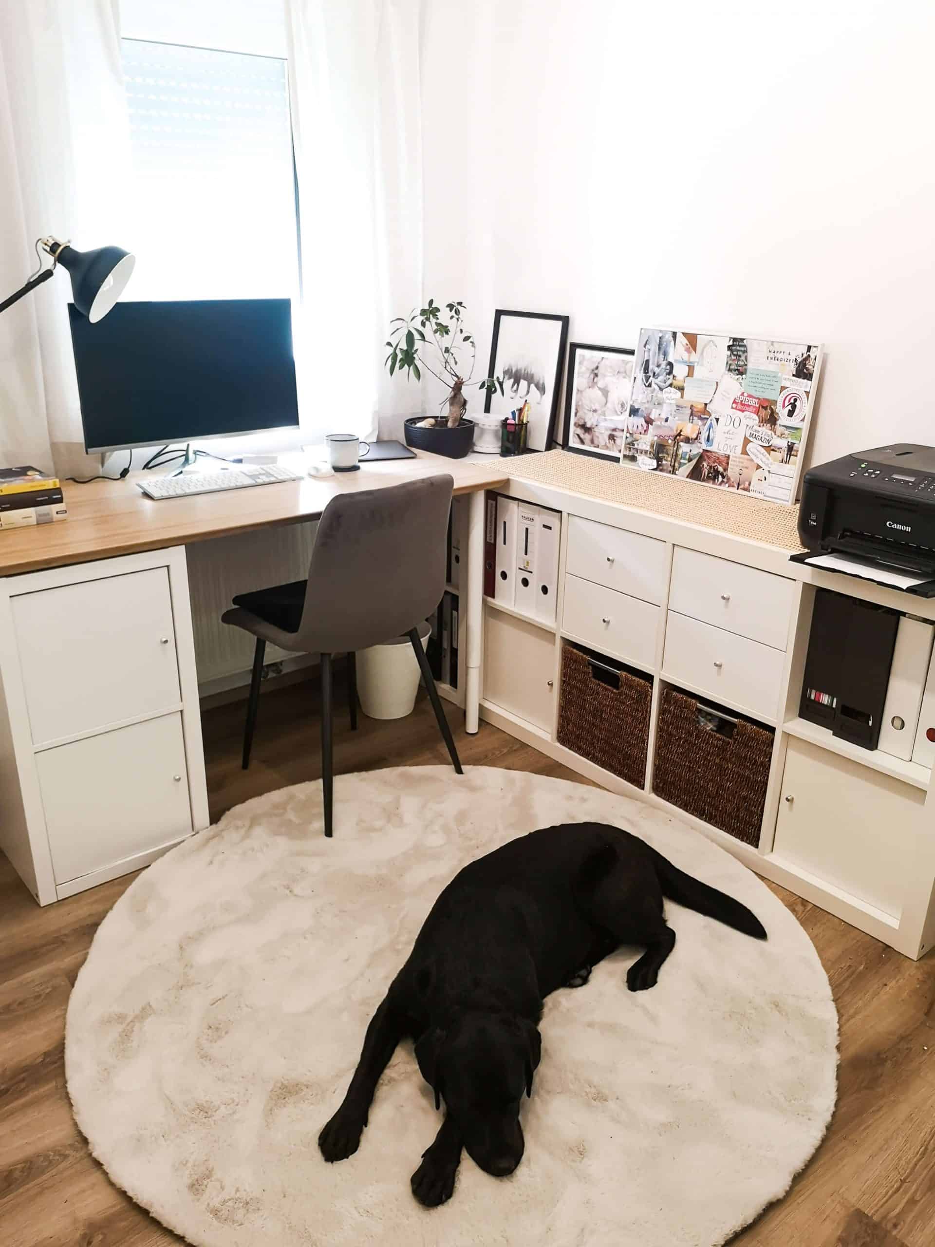 arbeitszimmer-mit-hund-home-office-hunde-officedog-buero