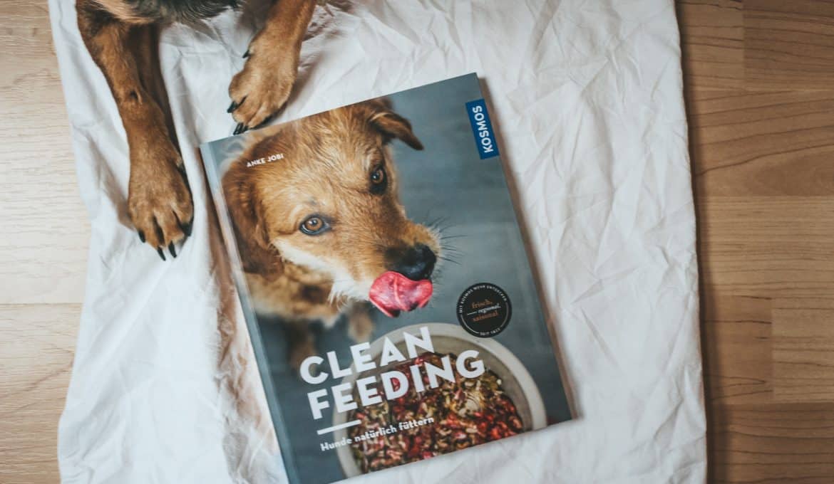 Clean_Feeding_Buch_Review_Cover