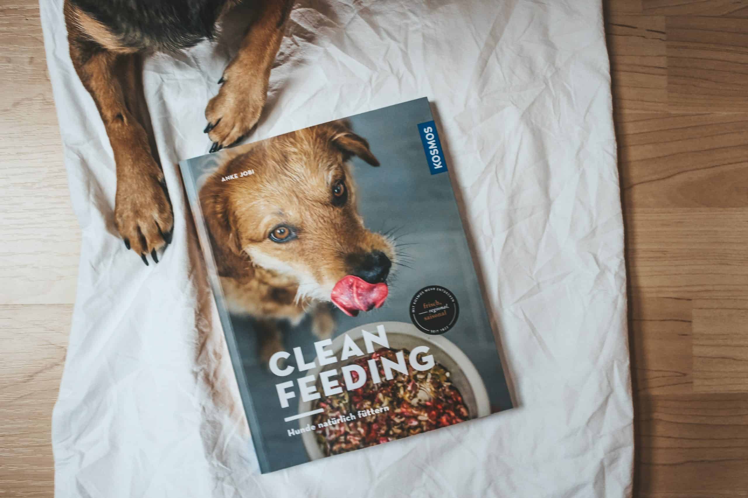 Clean_Feeding_Buch_Review_Cover